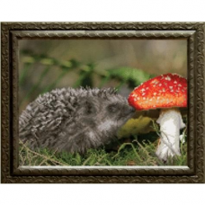 Канва для вышивания бисером