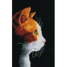 PN-0154999 Котенок