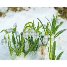 174/Б Набор для вышивания бисером Матренин посад 'Подснежники' 28*34см