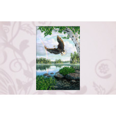 63108 Полёт орла