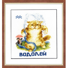 ВЛ-011 Знак зодиака Водолей