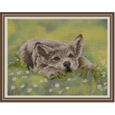 РК-004 Волчок