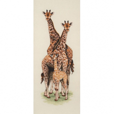 PCE740 Семейство жирафов (Giraffe Family)