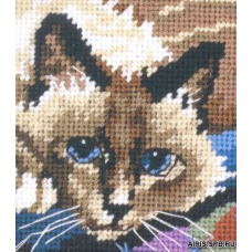 7228 Милый котик