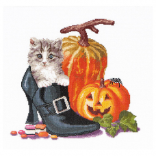 738А Котенок и Хэллоуин, Аида