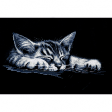 958 Мой котёнок