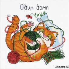 1329 Один дома
